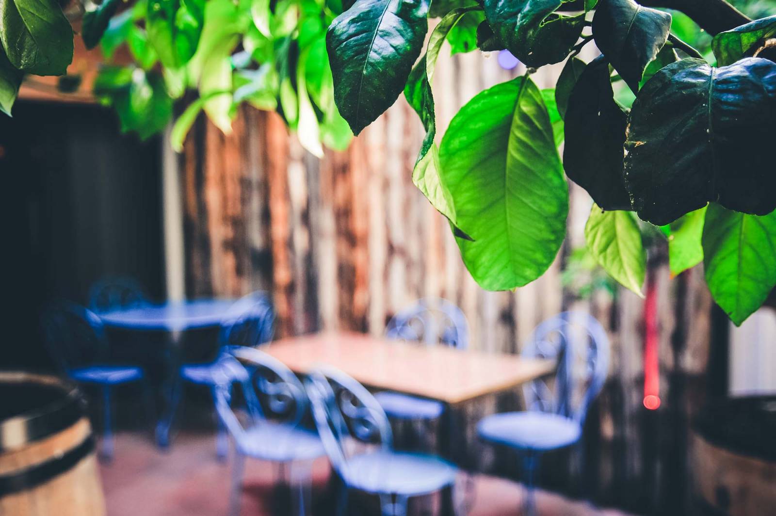 Une terrasse arborée et intimiste au coeur du quartier Saint Michel à Bordeaux