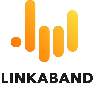 Linkaband la plus grande communauté de musiciens Bordeaux LINKABAND
